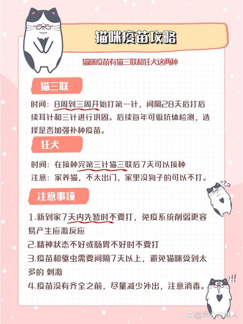猫咪疫苗超全攻略 从核心疫苗到接种流程，一篇全搞懂