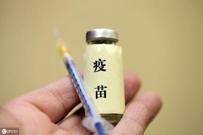 猪场必做的疫苗免疫分为几类?疫苗接种方法又有几种?这里有详解